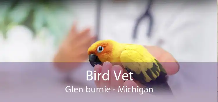 Bird Vet Glen burnie - Michigan