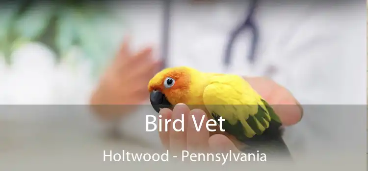 Bird Vet Holtwood - Pennsylvania