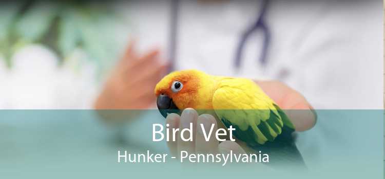Bird Vet Hunker - Pennsylvania