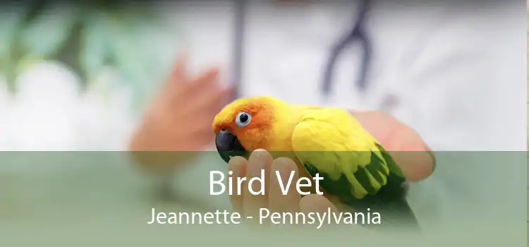 Bird Vet Jeannette - Pennsylvania