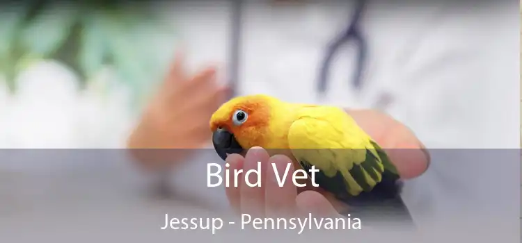 Bird Vet Jessup - Pennsylvania