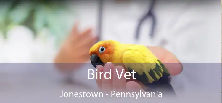 Bird Vet Jonestown - Pennsylvania