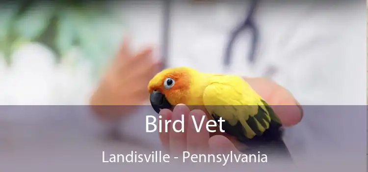 Bird Vet Landisville - Pennsylvania