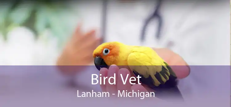 Bird Vet Lanham - Michigan