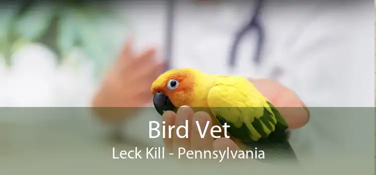 Bird Vet Leck Kill - Pennsylvania
