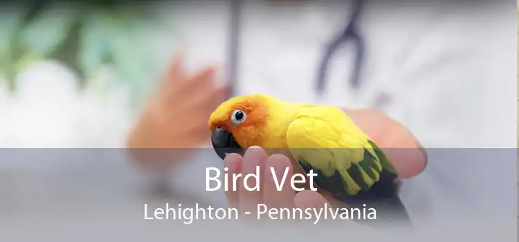 Bird Vet Lehighton - Pennsylvania