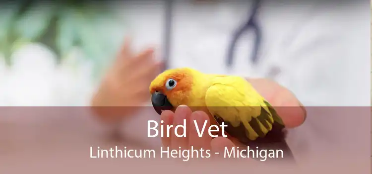 Bird Vet Linthicum Heights - Michigan