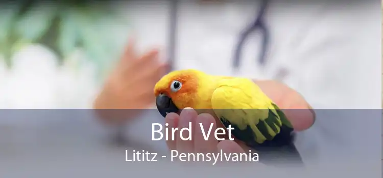 Bird Vet Lititz - Pennsylvania
