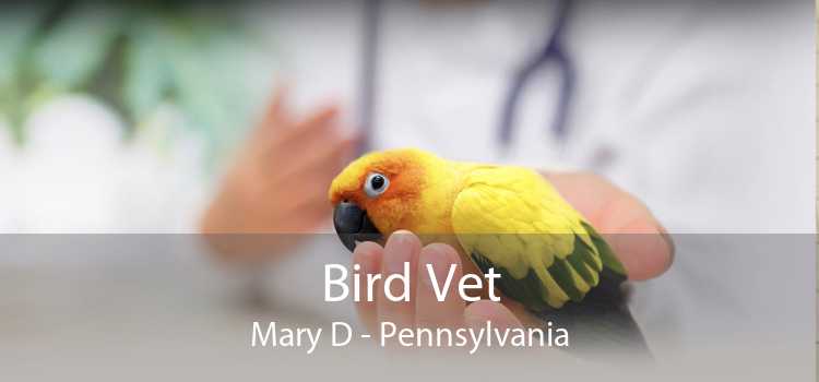 Bird Vet Mary D - Pennsylvania
