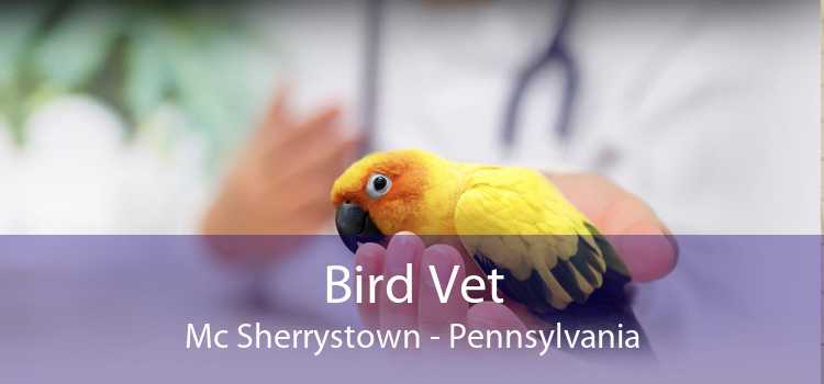 Bird Vet Mc Sherrystown - Pennsylvania