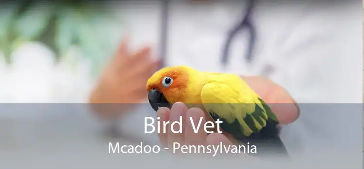 Bird Vet Mcadoo - Pennsylvania