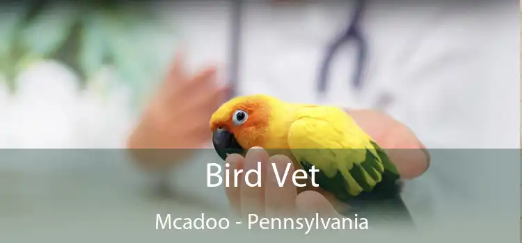 Bird Vet Mcadoo - Pennsylvania