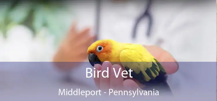 Bird Vet Middleport - Pennsylvania
