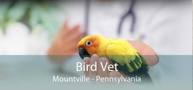 Bird Vet Mountville - Pennsylvania