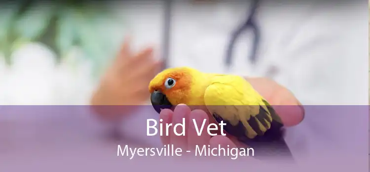 Bird Vet Myersville - Michigan
