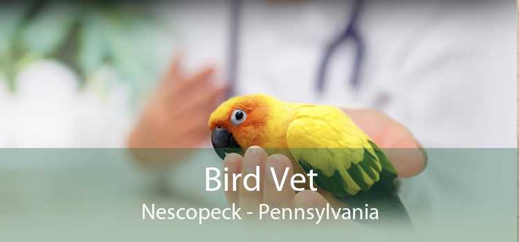 Bird Vet Nescopeck - Pennsylvania