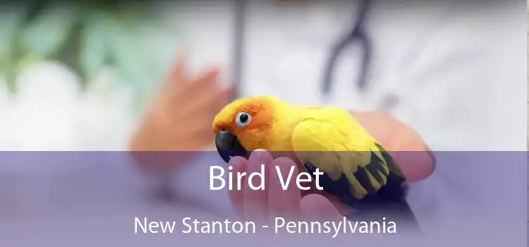 Bird Vet New Stanton - Pennsylvania