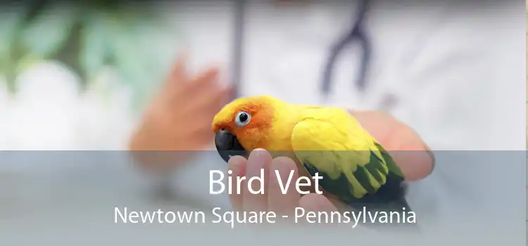 Bird Vet Newtown Square - Pennsylvania