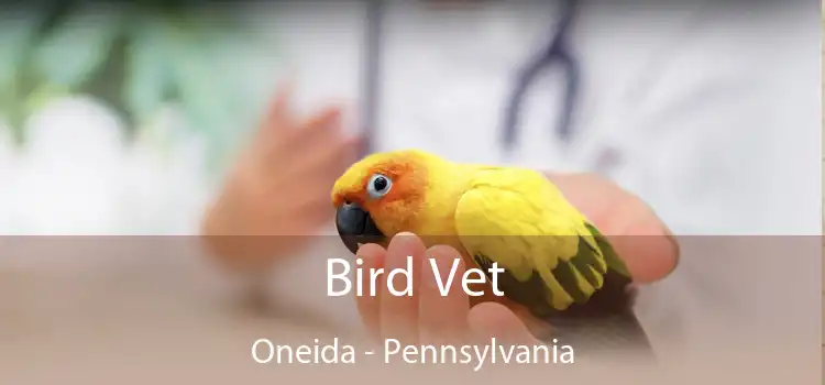 Bird Vet Oneida - Pennsylvania