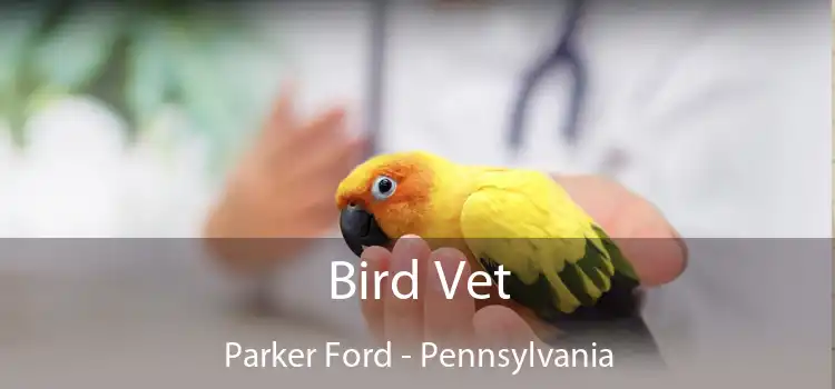 Bird Vet Parker Ford - Pennsylvania