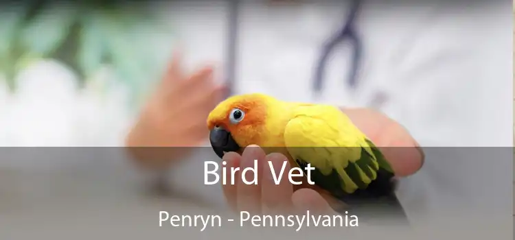 Bird Vet Penryn - Pennsylvania