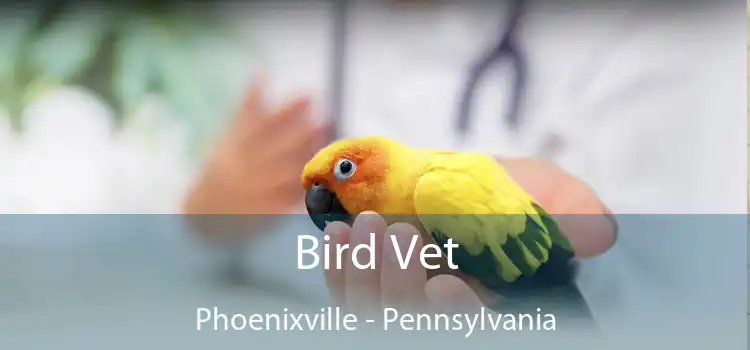 Bird Vet Phoenixville - Pennsylvania