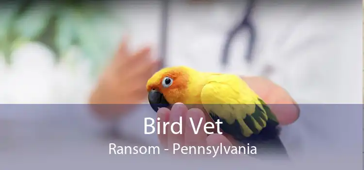 Bird Vet Ransom - Pennsylvania