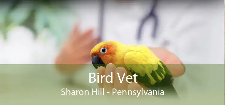 Bird Vet Sharon Hill - Pennsylvania