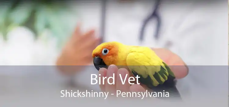 Bird Vet Shickshinny - Pennsylvania