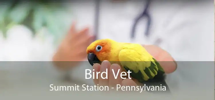 Bird Vet Summit Station - Pennsylvania