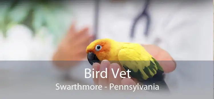 Bird Vet Swarthmore - Pennsylvania