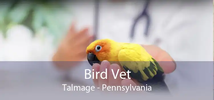 Bird Vet Talmage - Pennsylvania