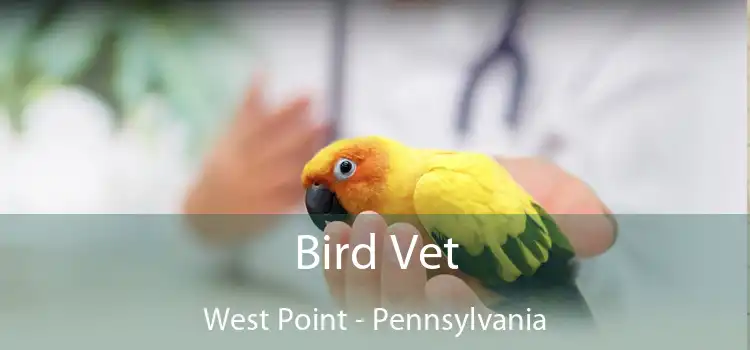 Bird Vet West Point - Pennsylvania