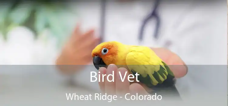 Bird Vet Wheat Ridge - Colorado