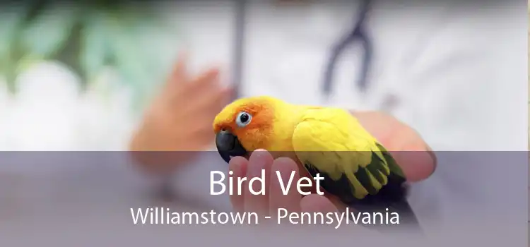 Bird Vet Williamstown - Pennsylvania