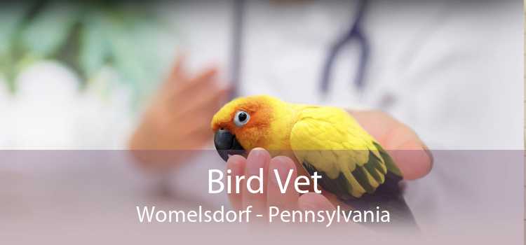 Bird Vet Womelsdorf - Pennsylvania