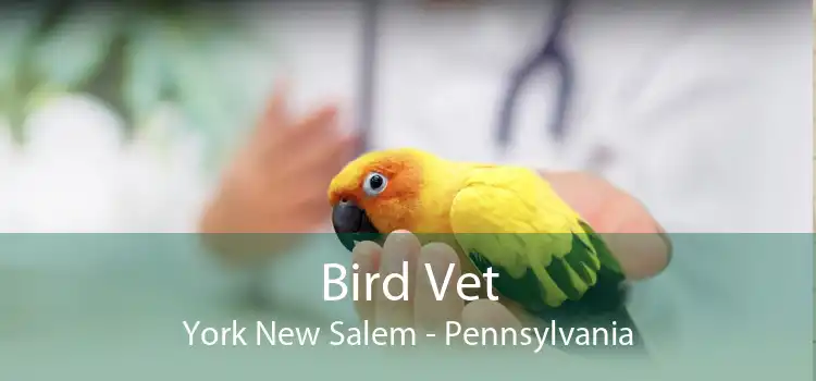 Bird Vet York New Salem - Pennsylvania