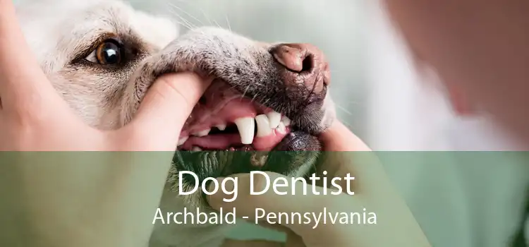 Dog Dentist Archbald - Pennsylvania