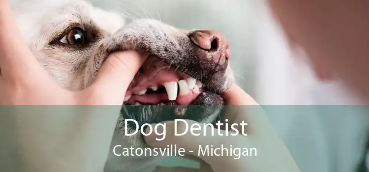 Dog Dentist Catonsville - Michigan