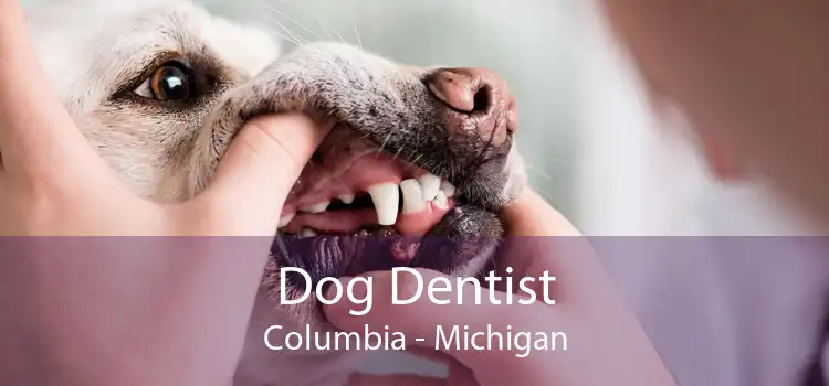 Dog Dentist Columbia - Michigan