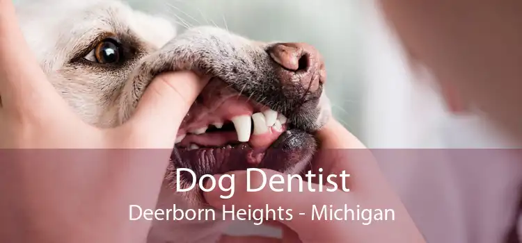 Dog Dentist Deerborn Heights - Michigan