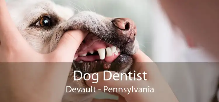 Dog Dentist Devault - Pennsylvania