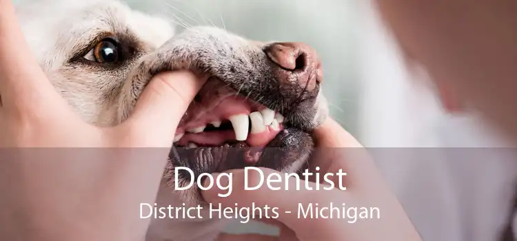 Dog Dentist District Heights - Michigan
