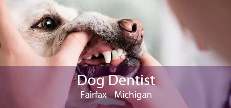 Dog Dentist Fairfax - Michigan