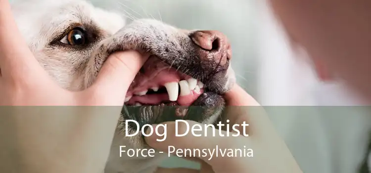 Dog Dentist Force - Pennsylvania