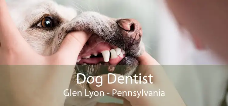 Dog Dentist Glen Lyon - Pennsylvania
