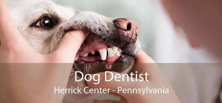 Dog Dentist Herrick Center - Pennsylvania