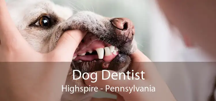 Dog Dentist Highspire - Pennsylvania