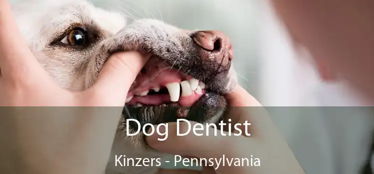 Dog Dentist Kinzers - Pennsylvania