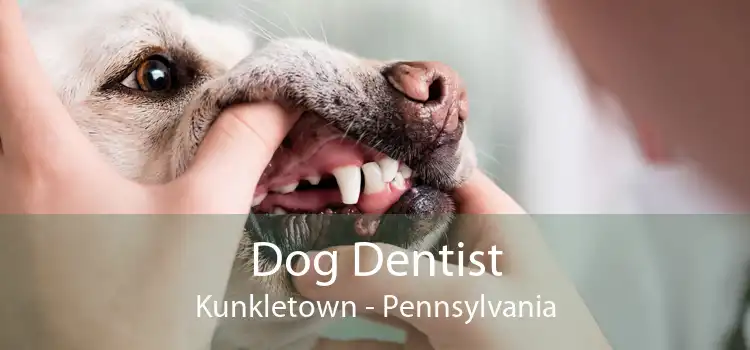 Dog Dentist Kunkletown - Pennsylvania